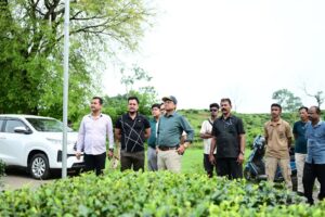 কলিয়াবৰ শিলঘাটত বাঘৰ আতংক অঞ্চল পৰিদৰ্শন নগাঁও জিলা আয়ুক্তৰ