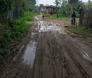 শিৱসাগৰ সমষ্টিৰ লোণপুৰীয়া অঞ্চলৰ জৰাজীৰ্ণ পথে জীয়াতু ভুগাইছে ৰাইজক