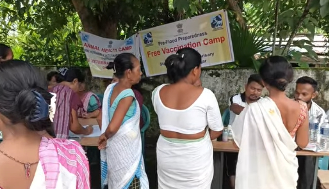 গেলেকীৰ ন-পুখুৰী গাঁও পঞ্চায়তত বিনামূলীয়া পশু চিকিৎসা শিৱিৰ সম্পন্ন
