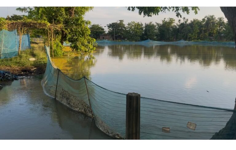কৃত্ৰিম বানৰ কৱলত ডবকা-মোৰাঝাৰ: মীন পালকৰ হাহাকাৰ